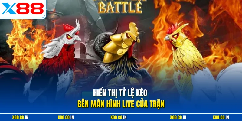 Hiển thị tỷ lệ kèo bên màn hình live của trận