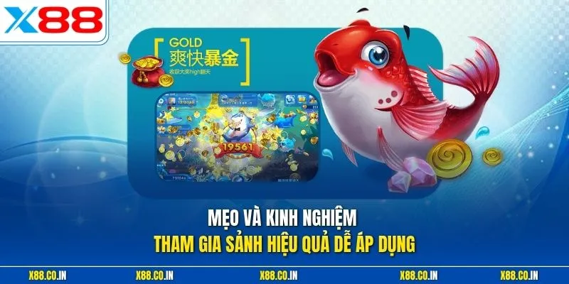 Mẹo và kinh nghiệm tham gia sảnh hiệu quả dễ áp dụng
